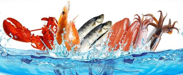 大连汕海水产邀您参加2019北京餐饮食材展览会